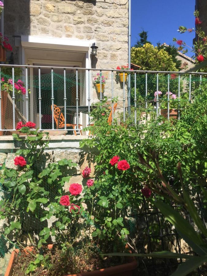 Maison De Vacances - Casa Mezanaccia Avec Terrasse Fleurie Meuble Tourisme 3 Etoiles Santa-Lucia-di-Tallano Exteriör bild