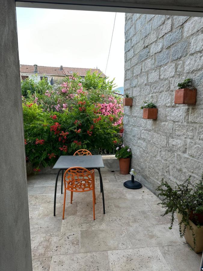 Maison De Vacances - Casa Mezanaccia Avec Terrasse Fleurie Meuble Tourisme 3 Etoiles Santa-Lucia-di-Tallano Exteriör bild