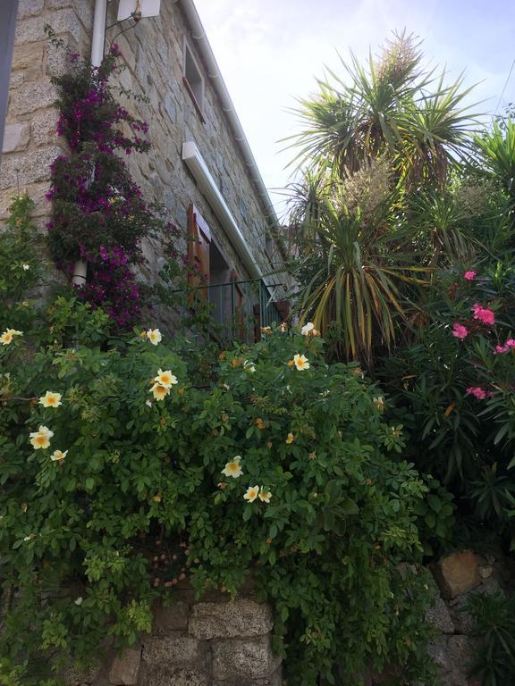 Maison De Vacances - Casa Mezanaccia Avec Terrasse Fleurie Meuble Tourisme 3 Etoiles Santa-Lucia-di-Tallano Rum bild